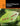 Classroom Management Techniques