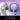 Alternate-Image11 Image for Adesso Headset with Push to talk, Volume +/-, Answer/End Call Controls