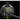 Alternate-Image5 Image for Jabra Engage 75 SE Headset