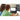 Life-Style Image for Asus Chromebook CR11 CR1104CTA-YZ84 11.6" Rugged Chromebook - HD - Intel N-Series N150 - 8 GB - 64 GB Flash Memory - Mineral Gray