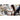 Alternate-Image16 Image for Microsoft Surface Pro (12th Edition) Copilot+ PC Tablet - 13" - Qualcomm Snapdragon X2 Plus - 16 GB - 256 GB SSD - Platinum